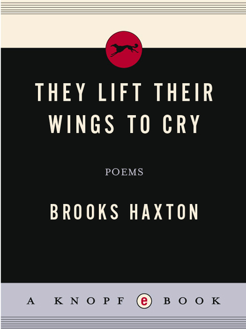 Cover image for book They Lift Their Wings to Cry