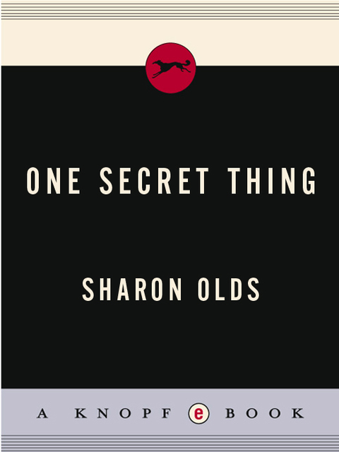 Cover image for book One Secret Thing