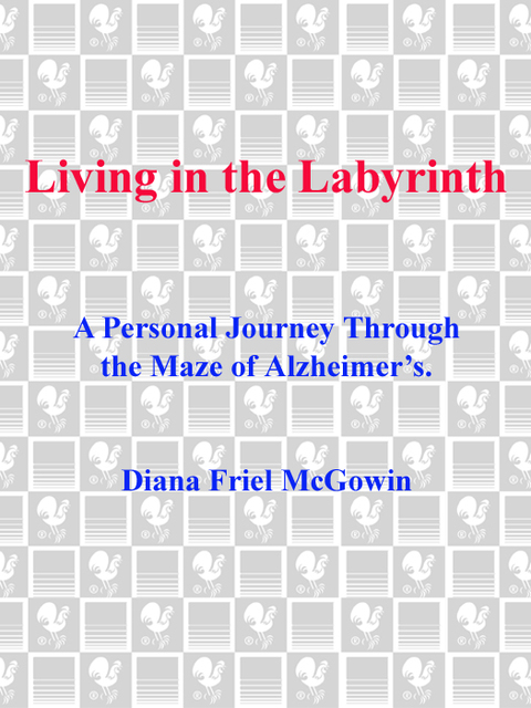 Cover image for book Living in the Labyrinth