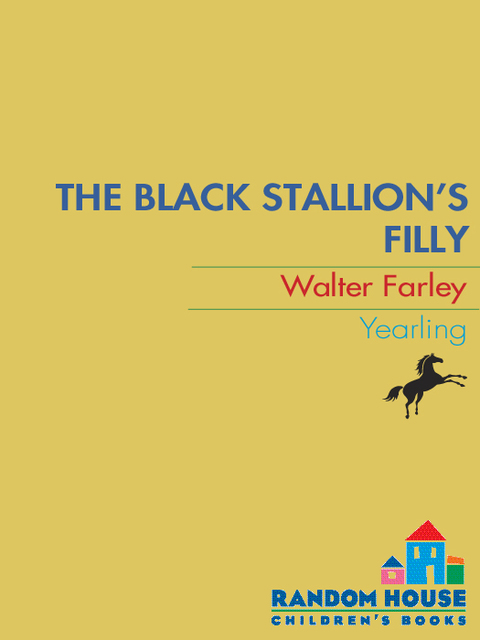 Cover image for book The Black Stallion's Filly