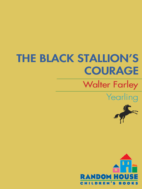 Cover image for book The Black Stallion's Courage