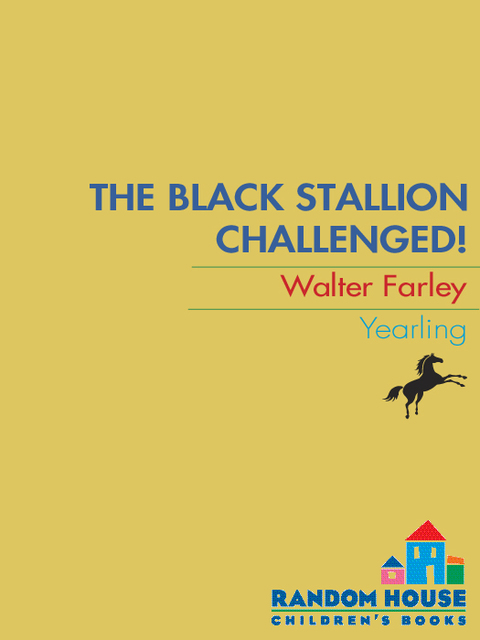 Cover image for book The Black Stallion Challenged