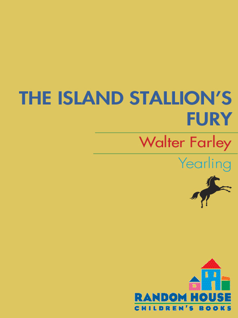 Cover image for book The Island Stallion's Fury