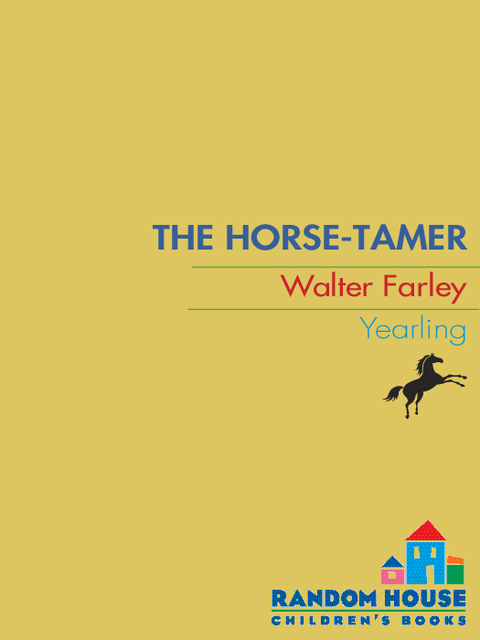 Cover image for book The Horse Tamer