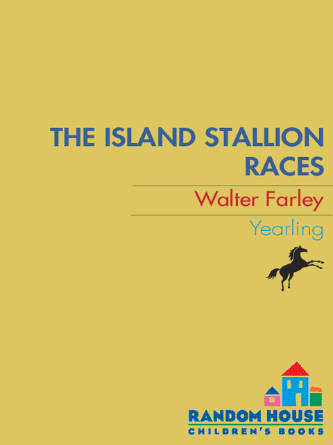 Cover image for book The Island Stallion Races