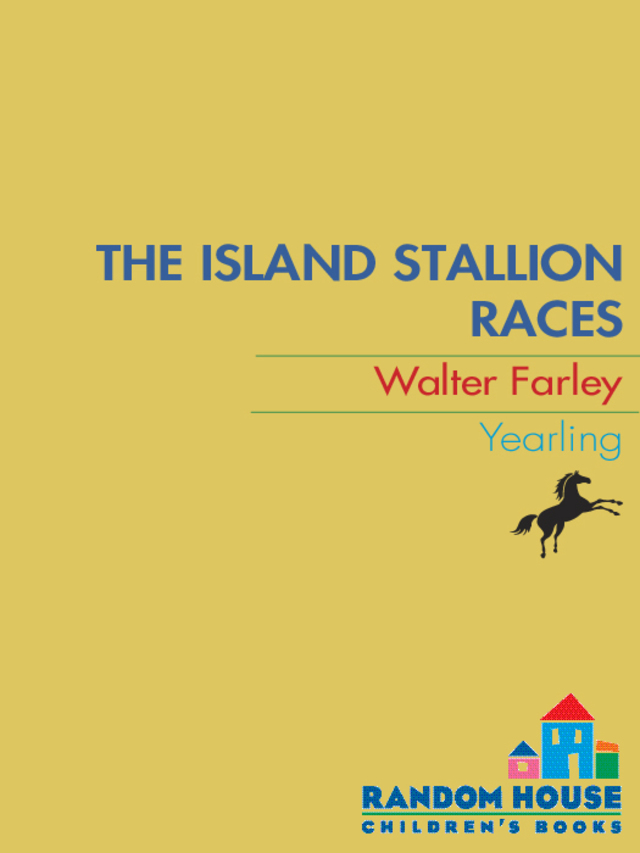The Island Stallion Races