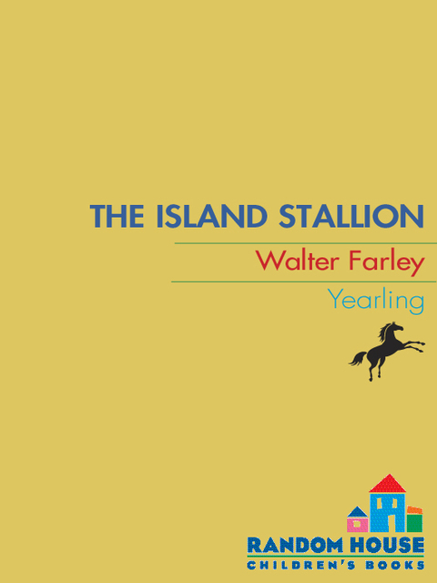 Cover image for book The Island Stallion