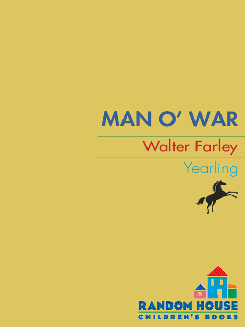 Cover image for book Man O'War