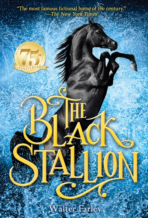 Cover image for book The Black Stallion