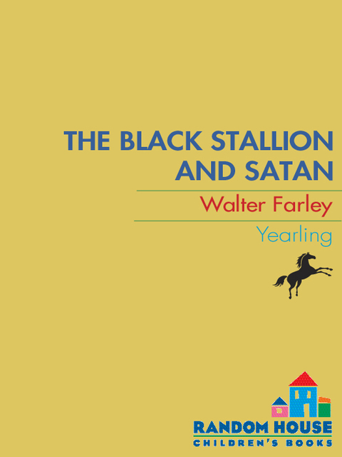 Cover image for book Black Stallion and Satan