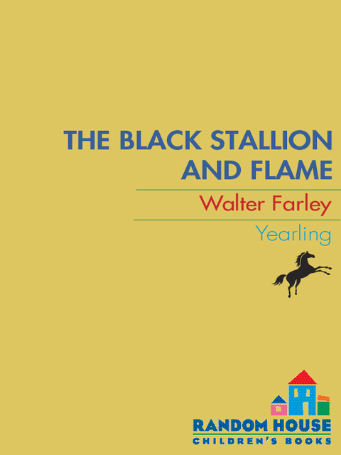 Cover image for book The Black Stallion and Flame
