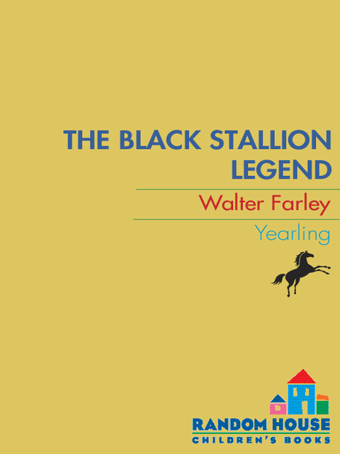 Cover image for book The Black Stallion Legend