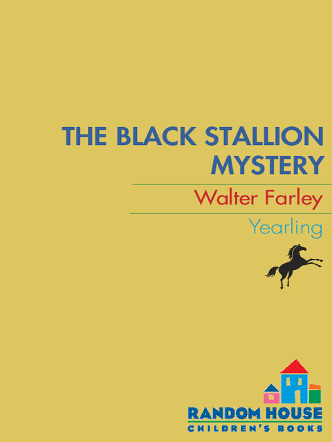 Cover image for book The Black Stallion Mystery