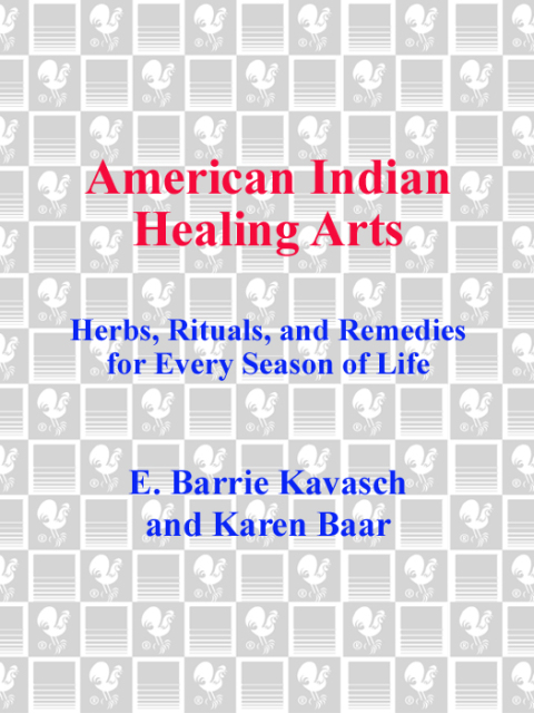 Cover image for book American Indian Healing Arts
