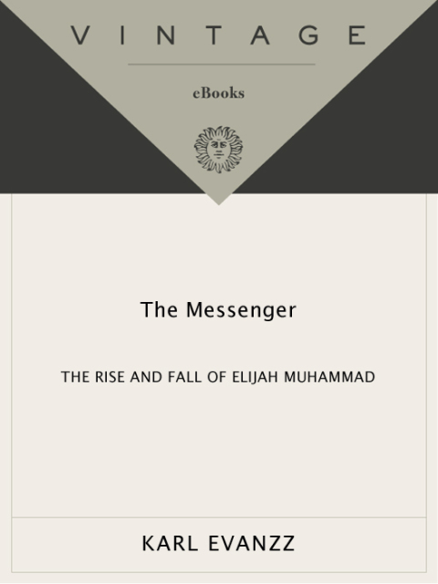 Cover image for book The Messenger