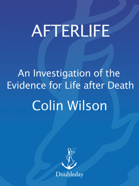 Cover image for book Afterlife