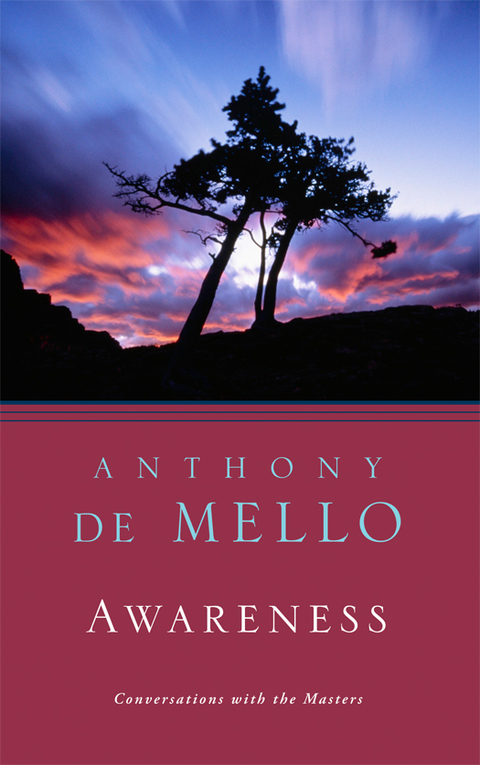 Cover image for book Awareness
