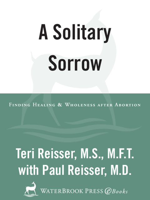 Cover image for book A Solitary Sorrow
