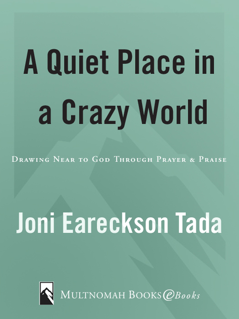 Cover image for book A Quiet Place in a Crazy World