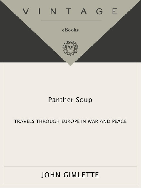 Cover image for book Panther Soup