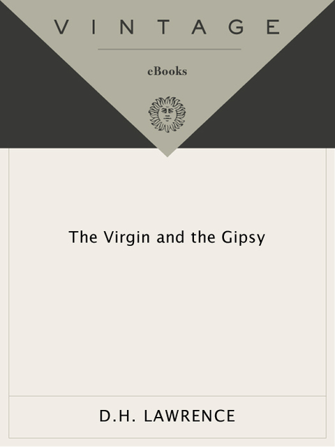Cover image for book The Virgin and the Gipsy