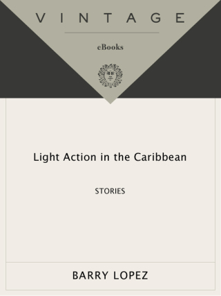 Light Action in the Caribbean