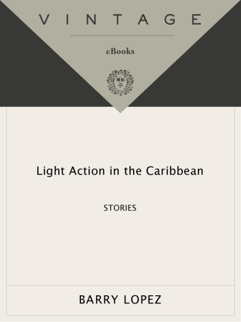 Cover image for book Light Action in the Caribbean