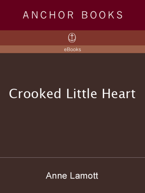 Cover image for book Crooked Little Heart
