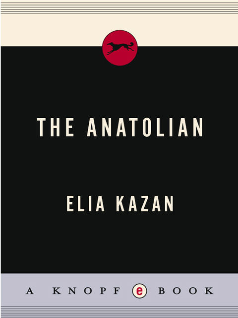 Cover image for book THE ANATOLIAN
