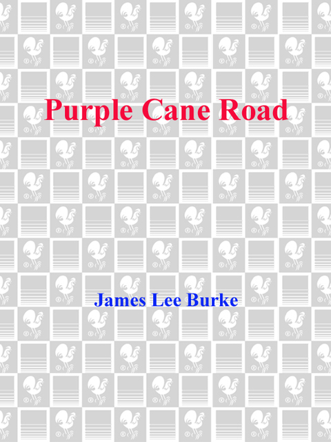 Cover image for book Purple Cane Road
