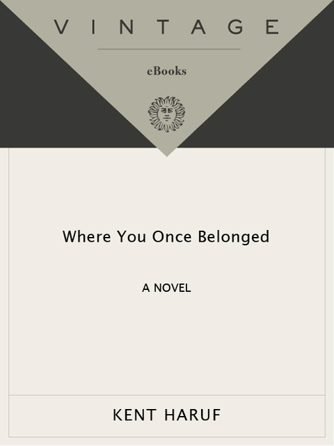 Cover image for book Where You Once Belonged