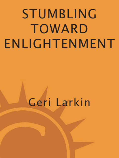 Cover image for book Stumbling Toward Enlightenment