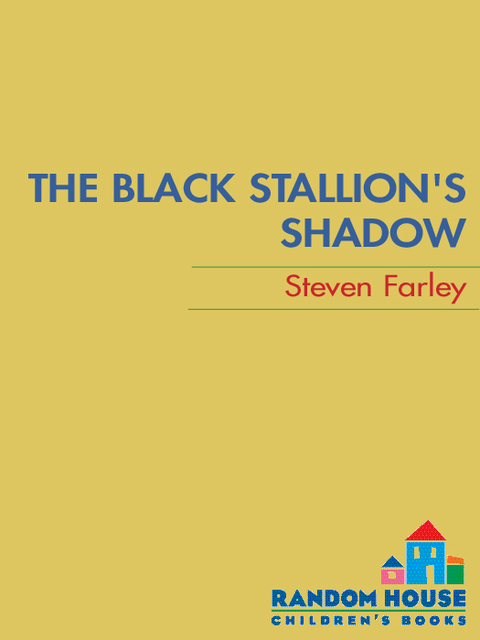 Cover image for book Black Stallion's Shadow