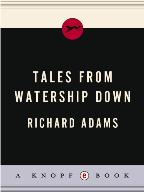 Cover image for book Tales from Watership Down