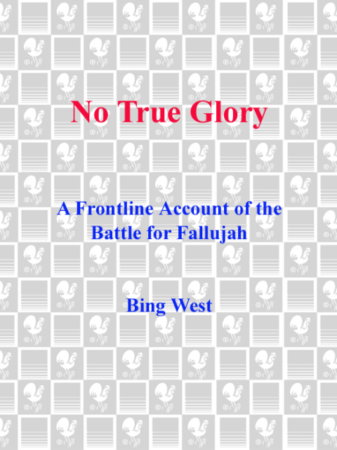 Cover image for book No True Glory