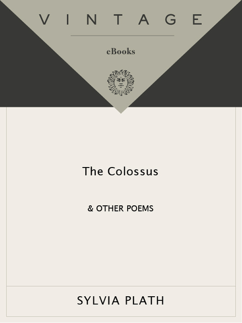 Cover image for book The Colossus