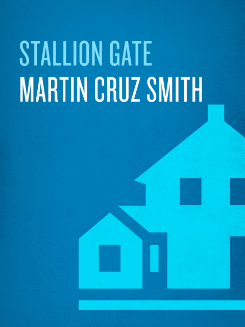 Cover image for book Stallion Gate