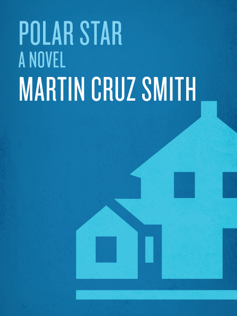 Cover image for book Polar Star