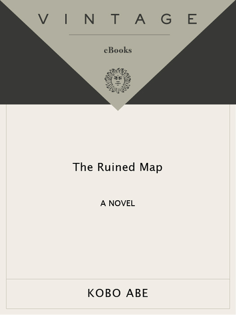 Cover image for book The Ruined Map