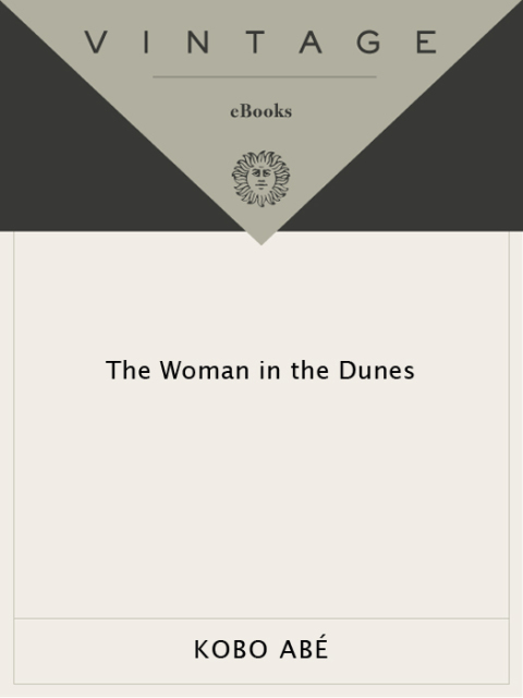 Cover image for book The Woman in the Dunes