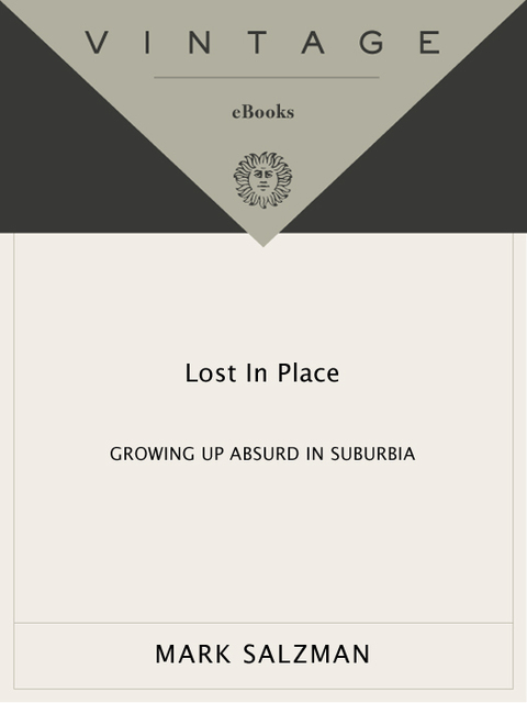 Cover image for book Lost In Place