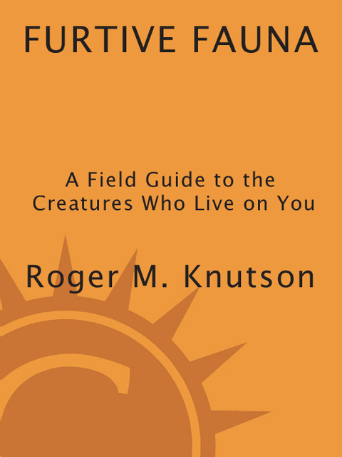 Cover image for book Furtive Fauna