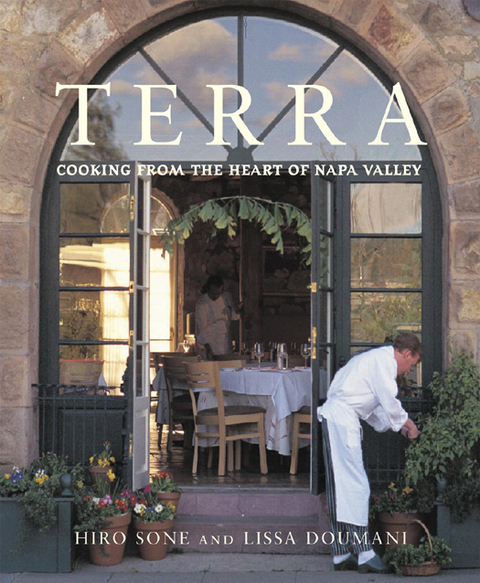 Cover image for book Terra