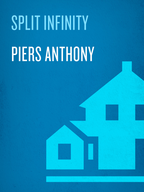 Cover image for book Split Infinity