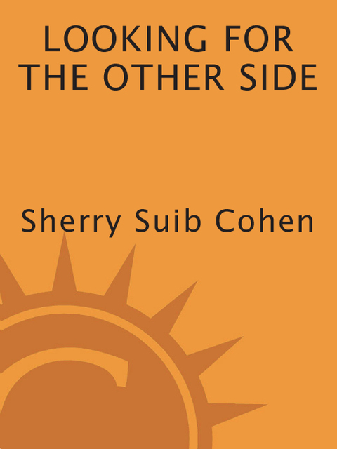 Cover image for book Looking for the Other Side