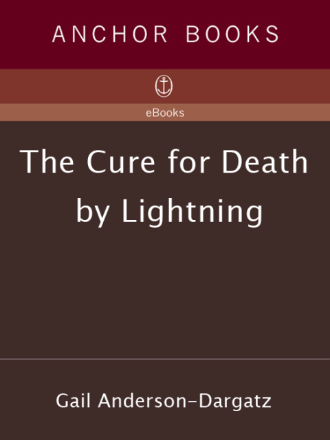 Cover image for book The Cure For Death By Lightning