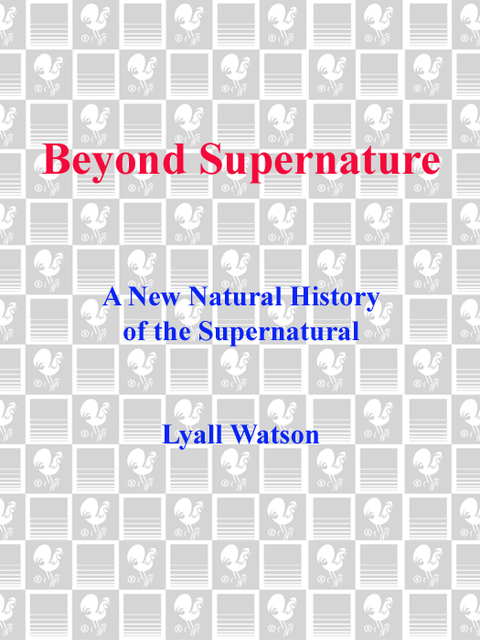 Cover image for book Beyond Supernature