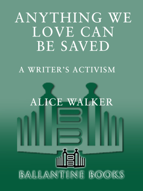 Cover image for book Anything We Love Can Be Saved