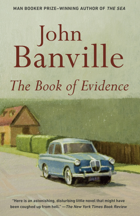 Cover image for book The Book of Evidence
