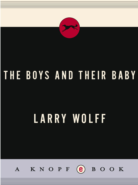 Cover image for book The Boys and Their Baby